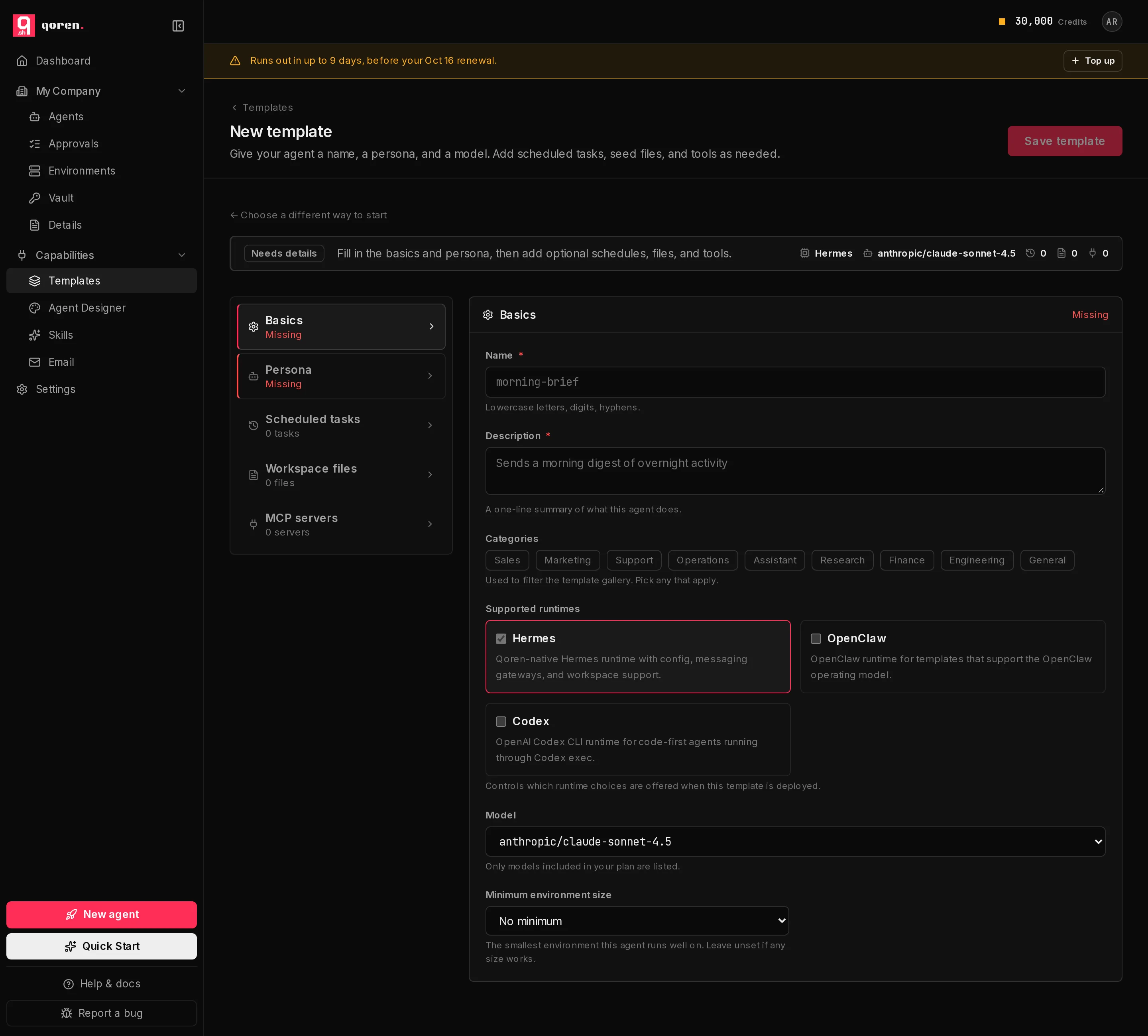 The template editor on its Basics step: a list of steps on the left, and name, description, categories, supported runtimes and model fields on the right.