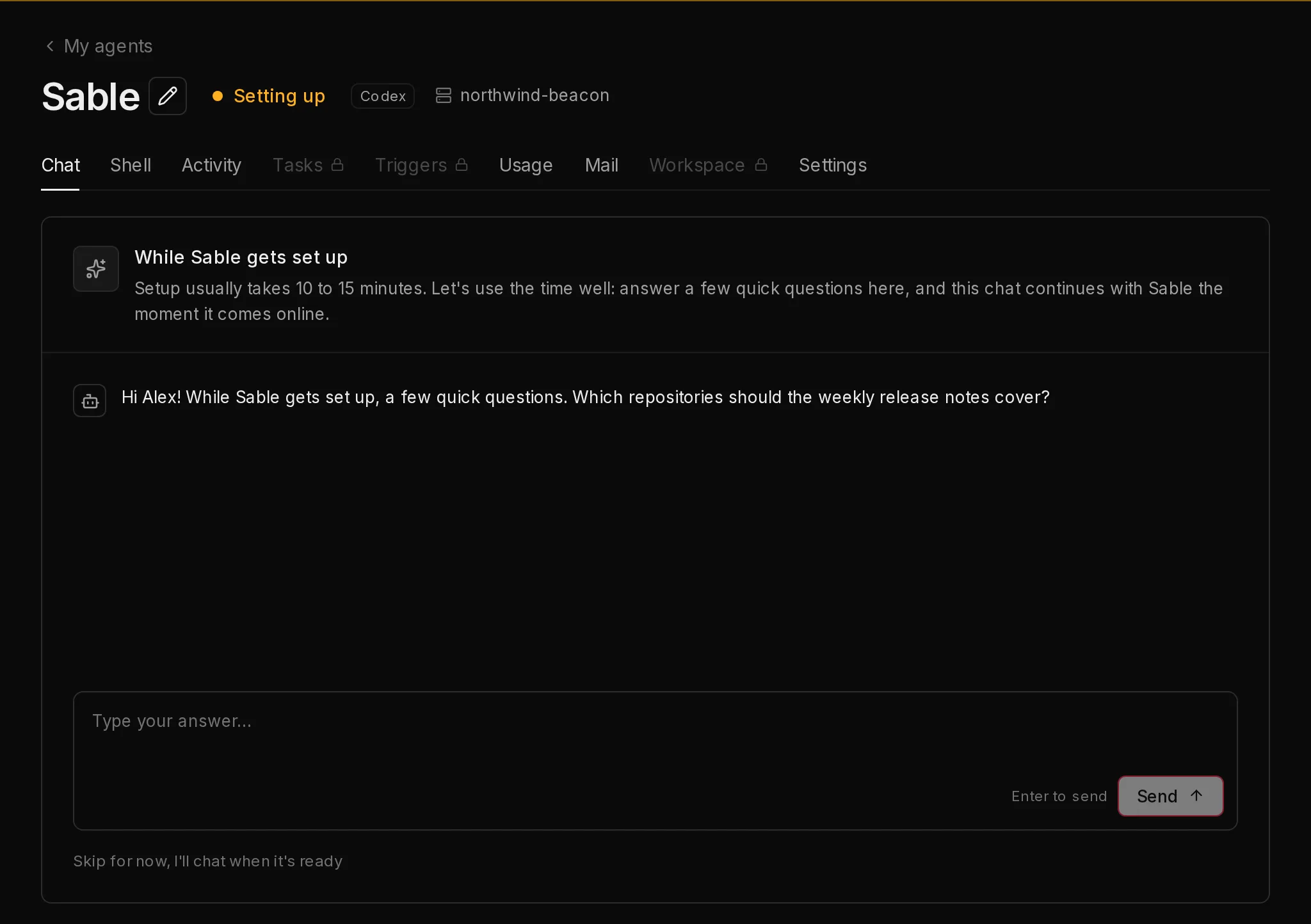 A new agent that is still setting up. Its Chat tab runs a short setup interview, with a box for your answer and a link to skip it.