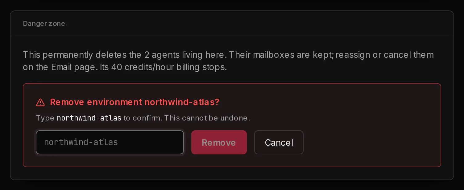 The Danger zone card after clicking Remove: a warning of what is deleted, a box to type the environment's name, and the Remove button.