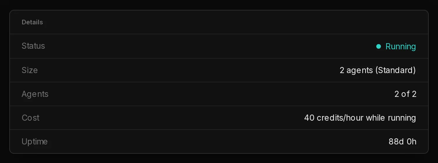 The Overview tab of an environment: its status, size, how many of its agent places are used, its hourly cost, its client and its uptime.